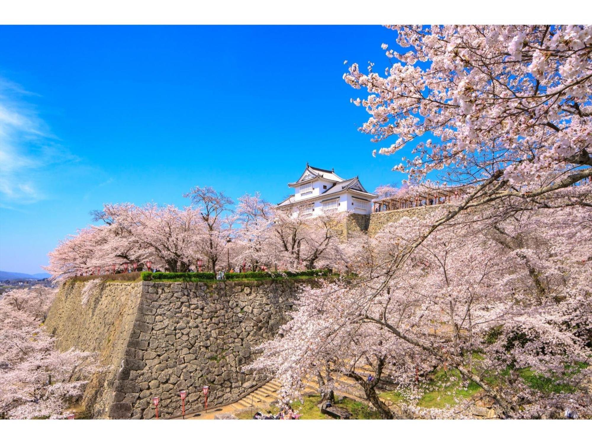 Tsuyama Kakuzan Hotel - Vacation Stay 75683V Buitenkant foto